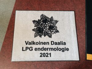 Logovaip